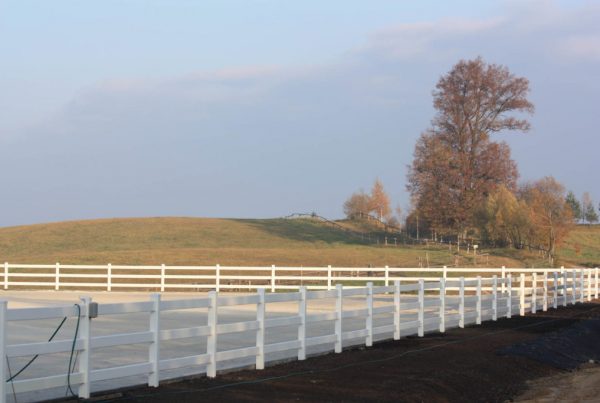 Farmerskie sztachety plastikowe Obraz za https://ogrodzeniaplastikowe.pl/galeria-ogrodzen-farmerskich/